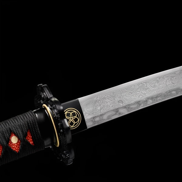 Katana Akanokiba - Zanna Rossa - tsuba e finiture